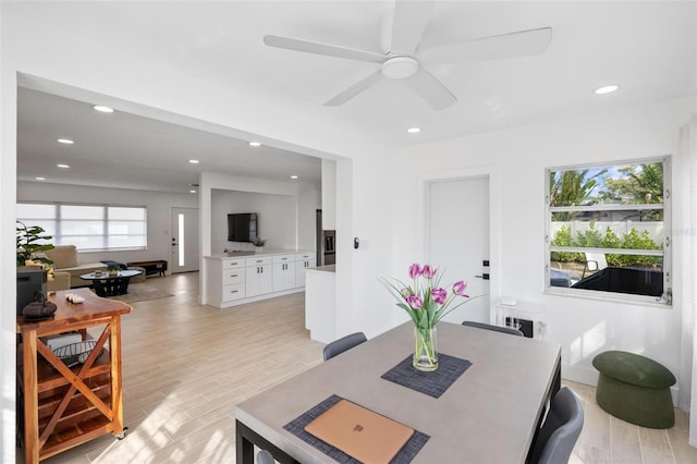 dining room with ceiling fan and light hardwood / wood-style flooring