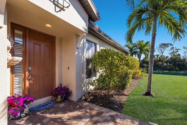 property entrance featuring a yard and stucco siding