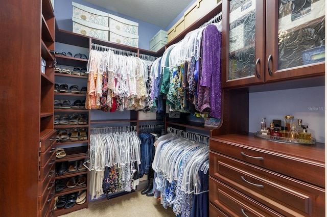 spacious closet featuring light colored carpet