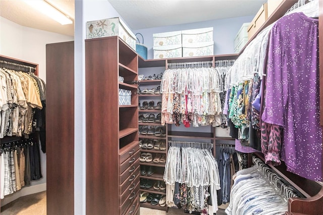 walk in closet with carpet