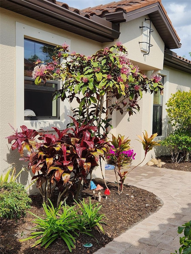 view of side of home featuring stucco siding