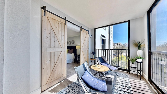 sunroom featuring a barn door