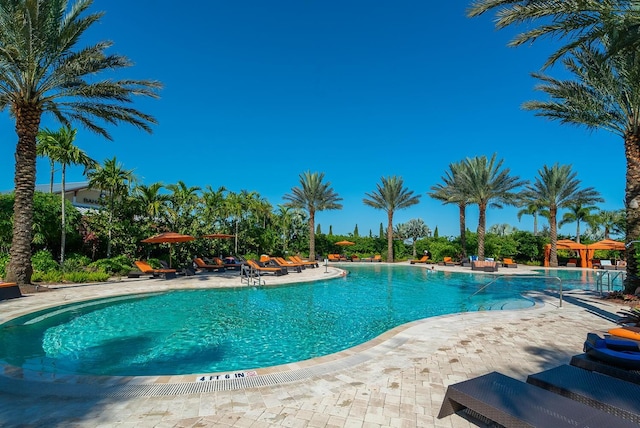 view of pool featuring a patio area