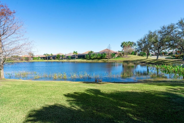 property view of water