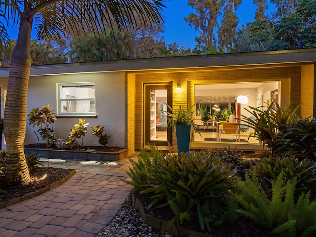 doorway to property with brick siding and stucco siding