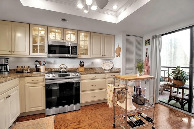 kitchen with stainless steel appliances, ornamental molding, light wood-type flooring, a tray ceiling, and plenty of natural light