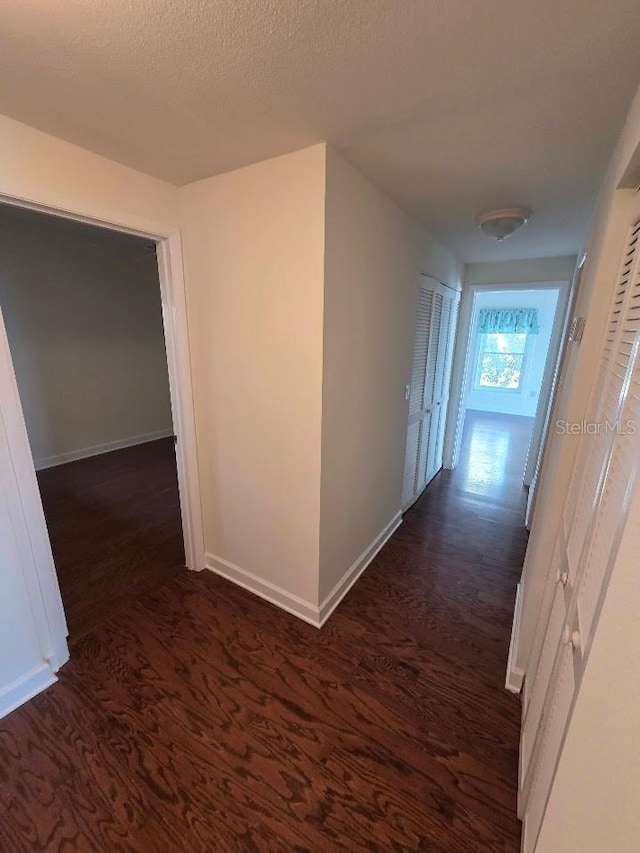 6430 Sun Eagle Ln Unit 201, Bradenton, FL 34210 - photo 77