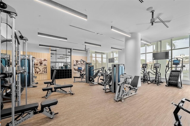 gym featuring ceiling fan, carpet floors, and a wall of windows