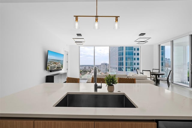 kitchen with a kitchen island with sink, expansive windows, open floor plan, and a sink