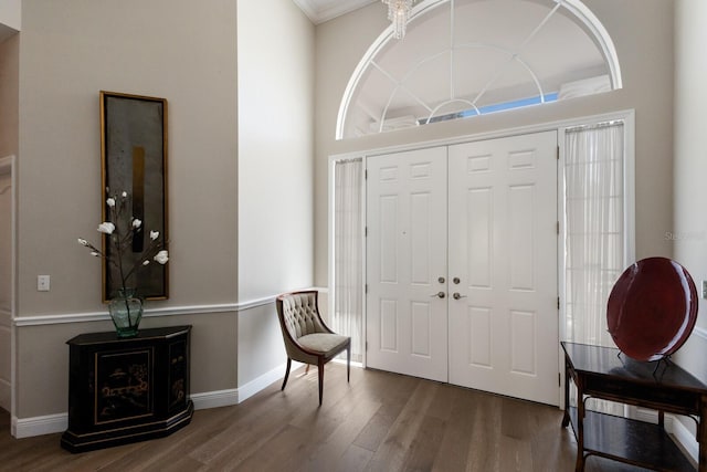 entrance foyer featuring wood finished floors, a towering ceiling, and baseboards