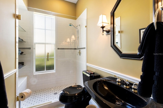 bathroom with toilet, a shower stall, and a sink