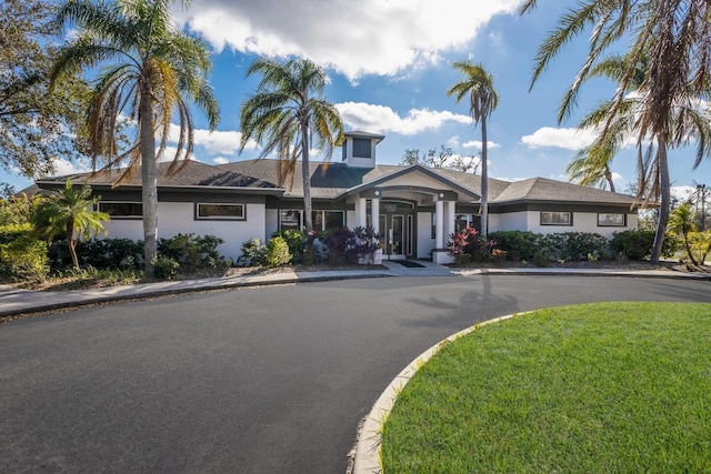 view of front of property featuring a front lawn and stucco siding