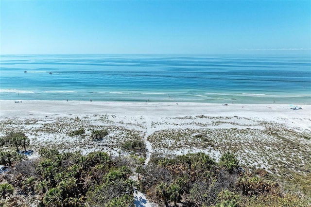 property view of water featuring a view of the beach