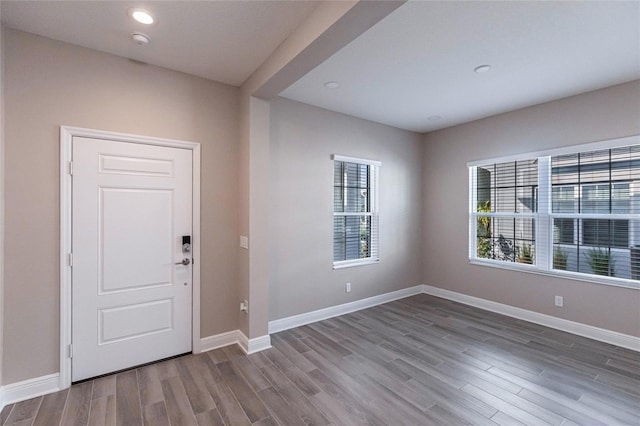 entrance foyer featuring wood-type flooring