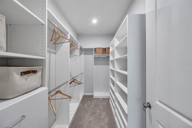 spacious closet with carpet flooring