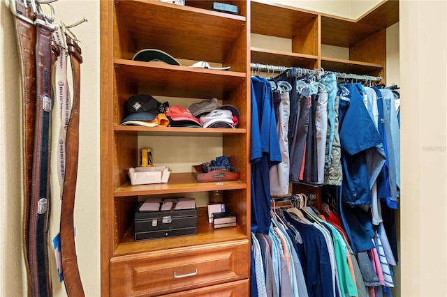 view of spacious closet