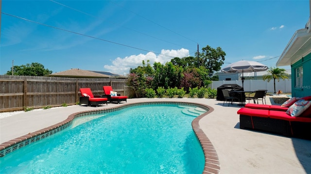 view of swimming pool with a patio