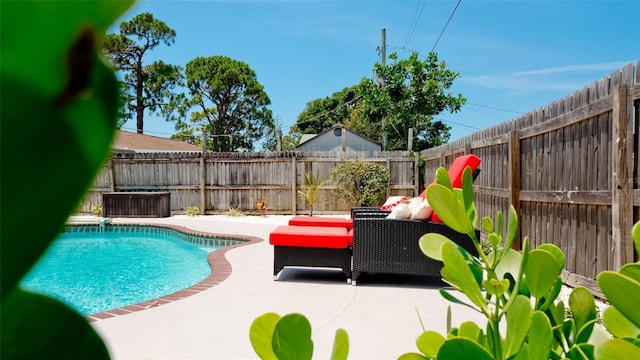 view of pool featuring a patio area