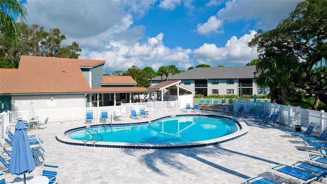 view of swimming pool with a patio