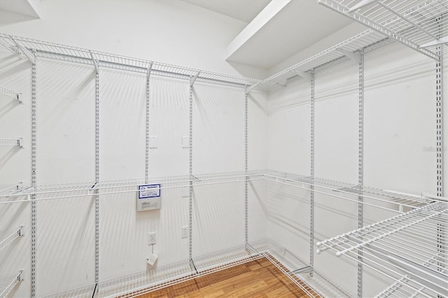 walk in closet featuring wood finished floors