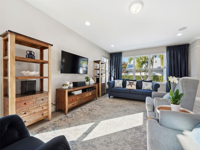 living room featuring hardwood / wood-style flooring