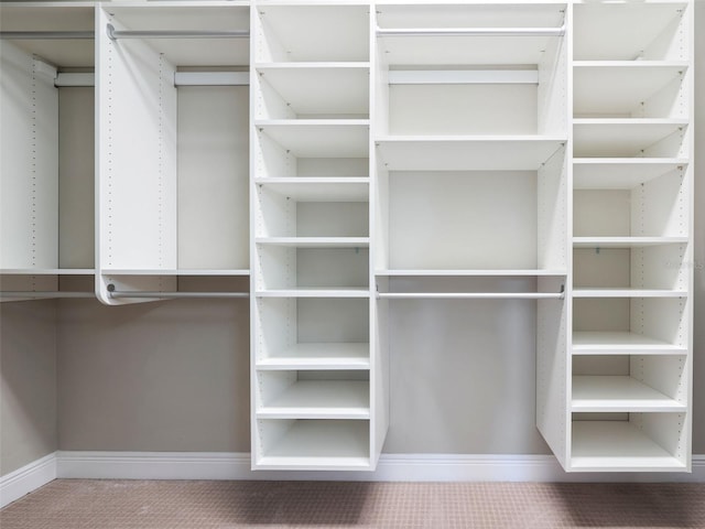 spacious closet featuring carpet flooring