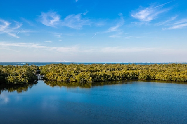 property view of water