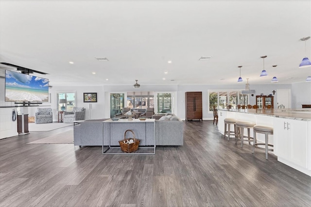 living room with dark hardwood / wood-style floors