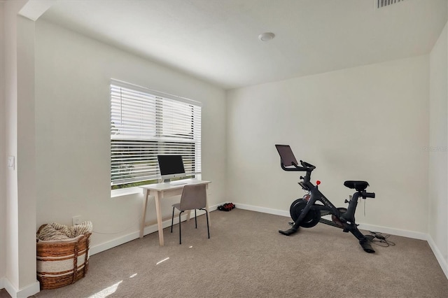 exercise area featuring carpet flooring