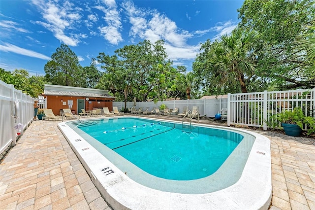 view of swimming pool with a patio area