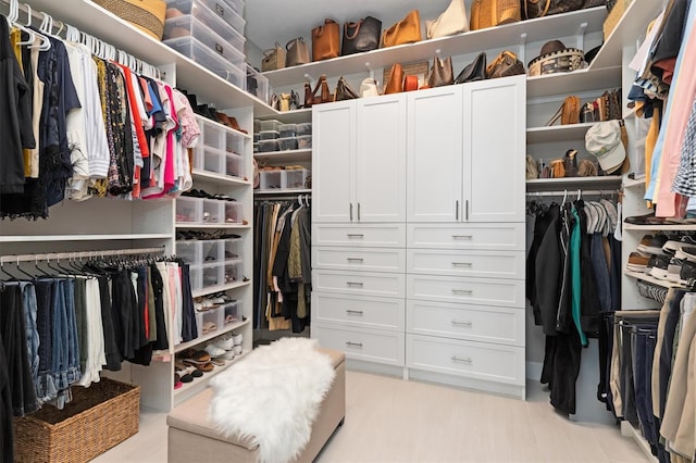 view of spacious closet