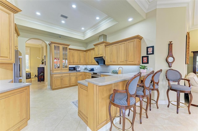 kitchen with a raised ceiling, stainless steel electric range oven, light tile patterned flooring, and crown molding