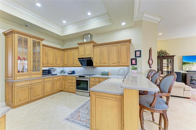 kitchen with sink, a kitchen breakfast bar, kitchen peninsula, stainless steel appliances, and range hood