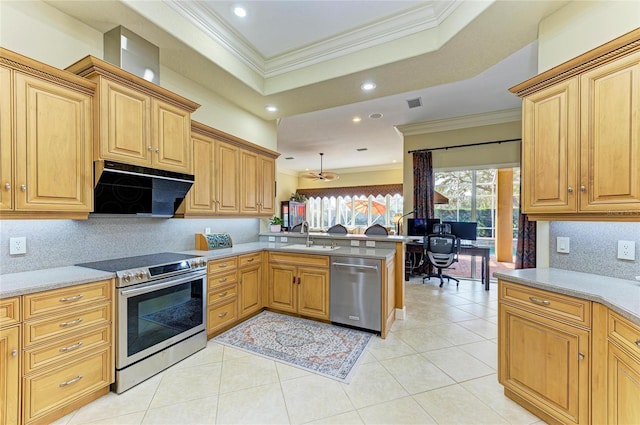 kitchen with range hood, a raised ceiling, sink, kitchen peninsula, and stainless steel appliances