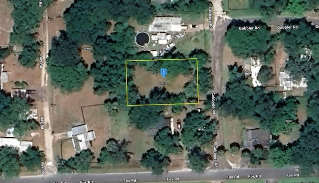 55917 Cabbage Rd, Astor FL, 32102 land for sale