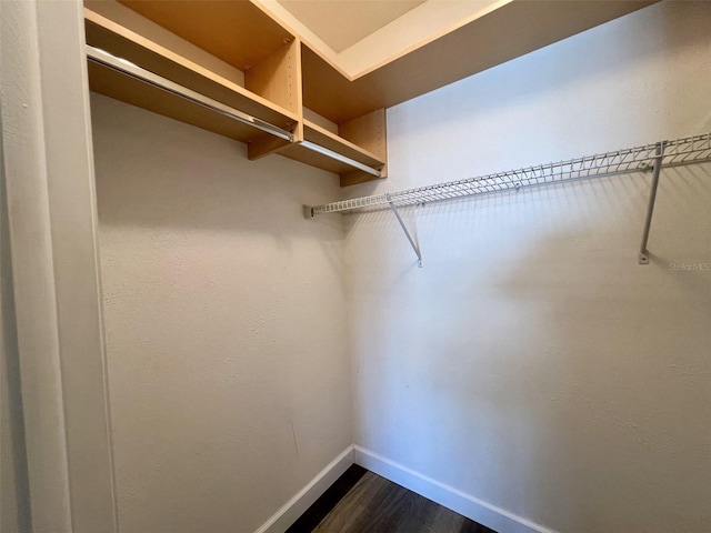 spacious closet with dark hardwood / wood-style flooring