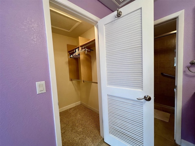 spacious closet featuring carpet flooring