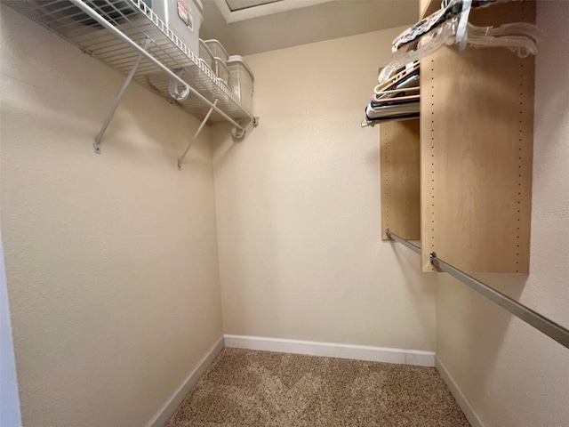 walk in closet featuring carpet flooring