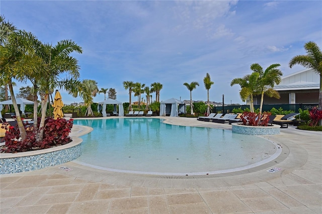 view of pool with a patio