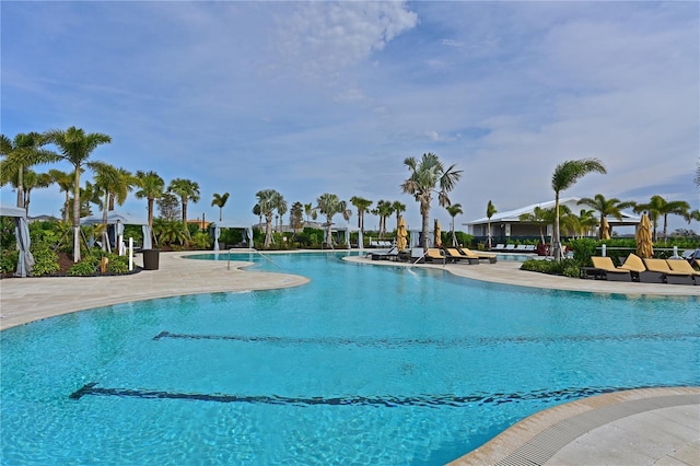 view of pool with a patio area