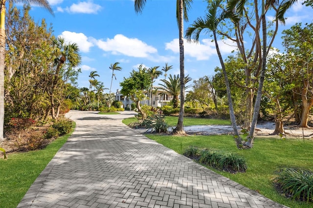 view of road featuring decorative driveway