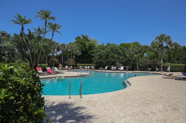 view of pool featuring a patio