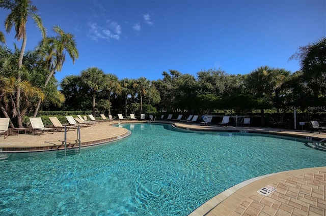 view of pool featuring a patio area