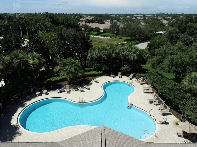 view of swimming pool featuring a patio