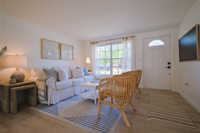 living room featuring hardwood / wood-style floors