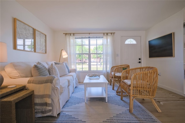 living room with hardwood / wood-style flooring