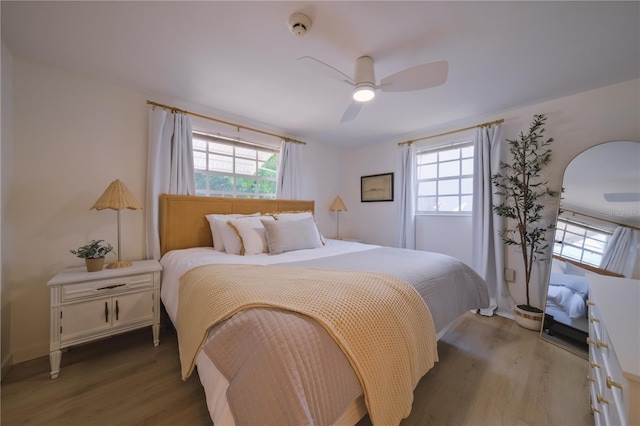 bedroom featuring ceiling fan, wood-type flooring, and multiple windows