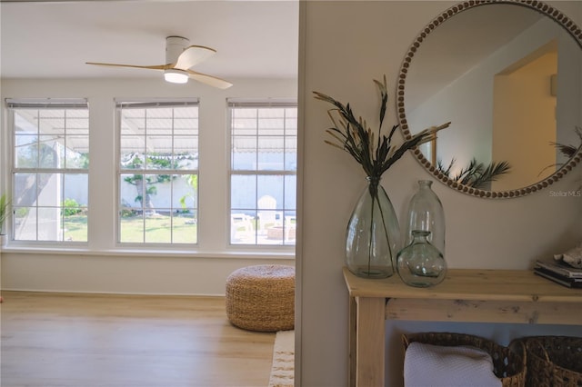 details featuring hardwood / wood-style flooring and ceiling fan