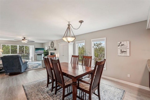 dining room with a fireplace, light hardwood / wood-style floors, and ceiling fan