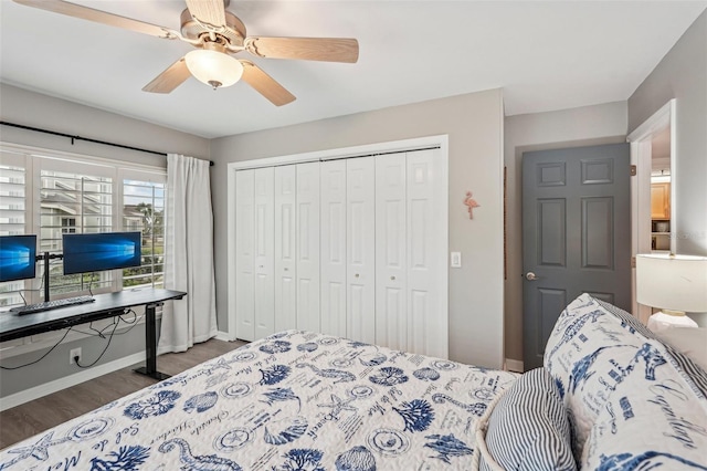 bedroom featuring ceiling fan, dark hardwood / wood-style flooring, and a closet